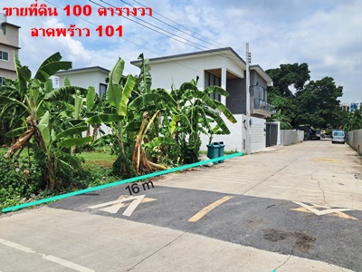 ขายที่ดินถมแล้ว ลาดพร้าว 101