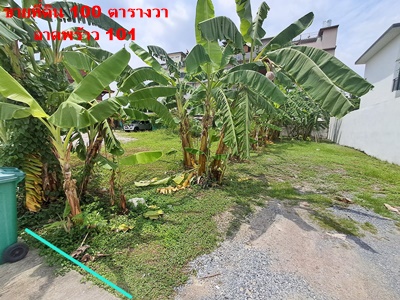 ขายที่ดินถมแล้ว ลาดพร้าว 101