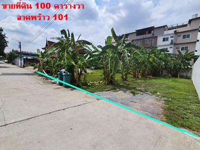 ขายที่ดินถมแล้ว ลาดพร้าว 101